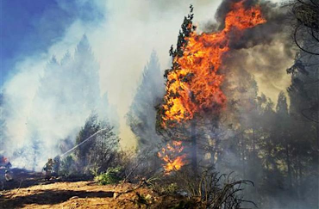 Incendi Amazzonia: vescovi boliviani, “maggiori sforzi dal Governo, danni irreparabili”. Avviata una colletta, domenica una preghiera nazionale